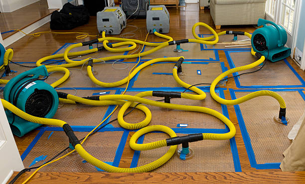 Professional Structural Drying And Dehumidification technician working in Hudson, IA